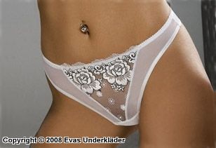 Thong panty with dark rose outlines